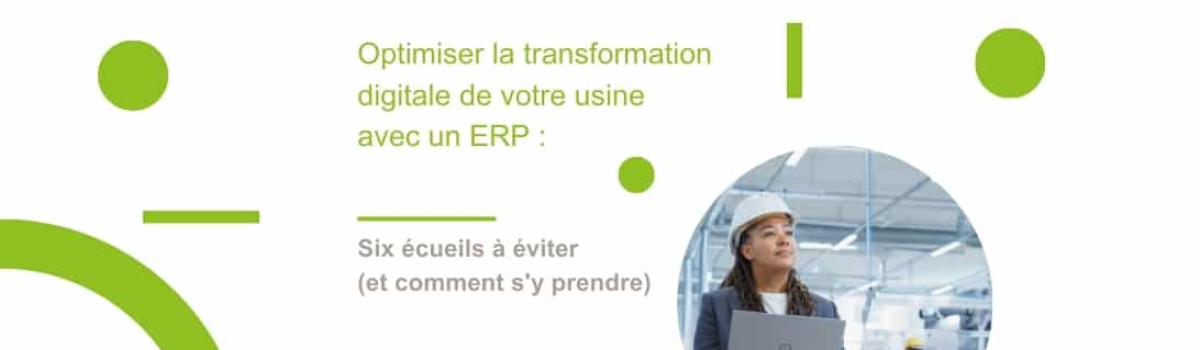 ebook erp