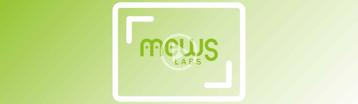 mews labs motion design banner